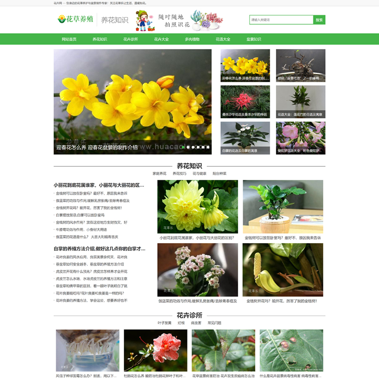 pbootcms模板绿色花草植物花卉养殖新闻资讯类pb模板网站模板(PC+WAP)