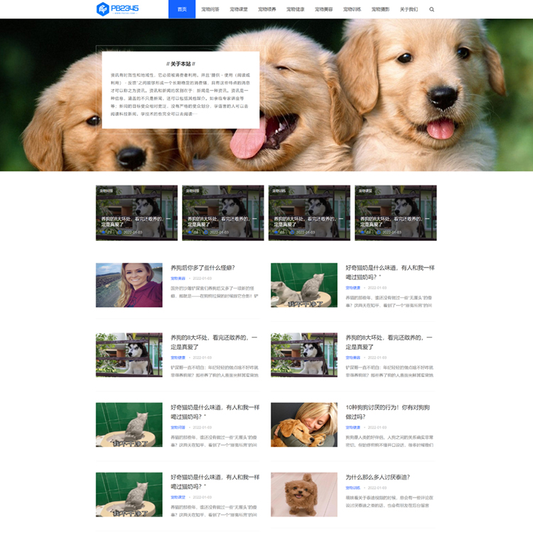 pbootcms模板宠物资讯个人博客响应式pb模板网站模板(自适应手机端)